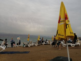 img_20190324_1557475608654062998475652.jpg